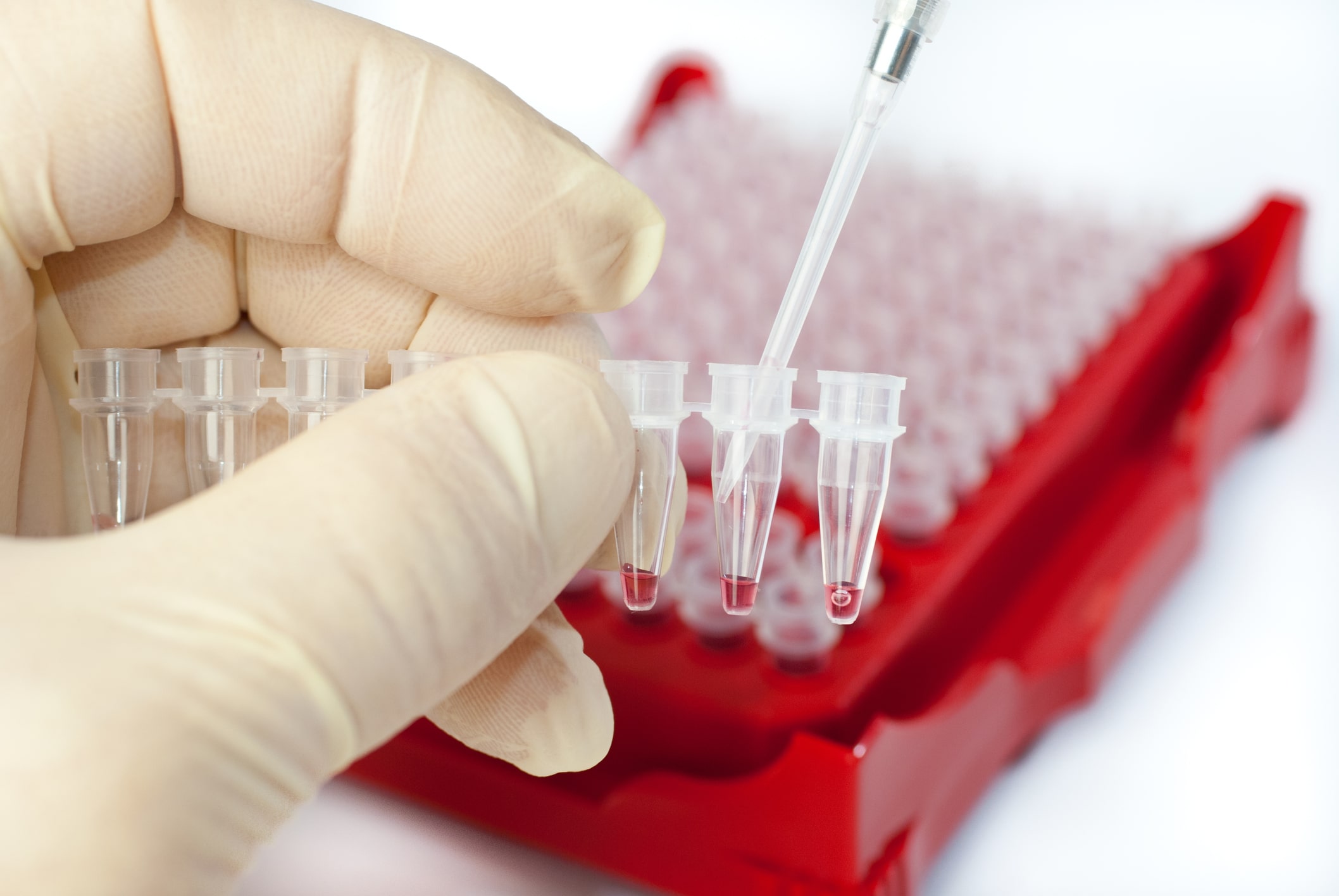 Forensic DNA Litigation 1 Molecular Biology